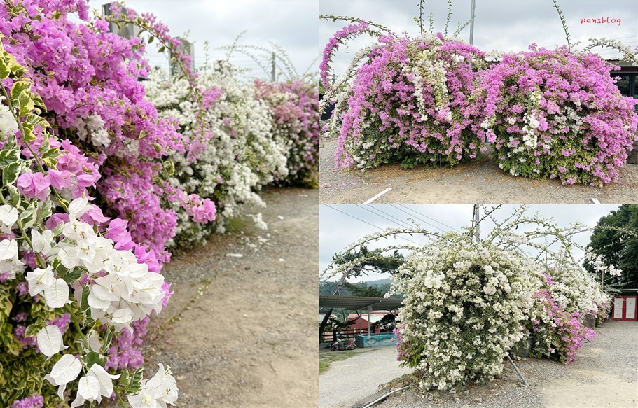 桃園中壢。風太日式炭火燒肉，老字號燒肉吃到飽,均一價$599加一成服務費 @雯雯的玩樂地圖