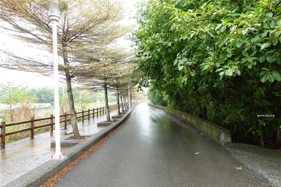 雲林林內。九芎村落羽松秘境，藏在鄉間小路中的落羽松秘境，秋冬不能錯過的美景 @雯雯的玩樂地圖