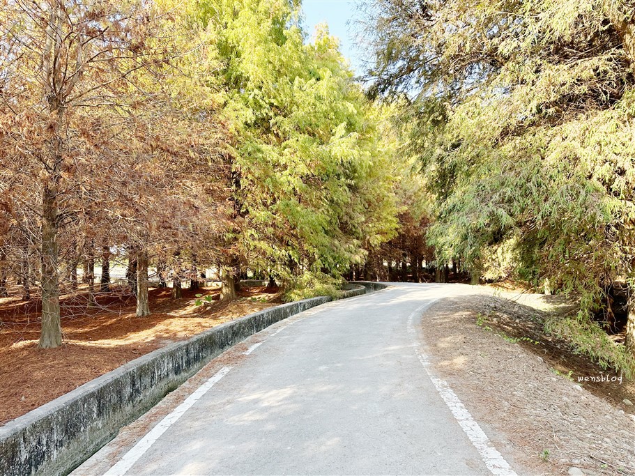 雲林林內。九芎村落羽松秘境，藏在鄉間小路中的落羽松秘境，秋冬不能錯過的美景 @雯雯的玩樂地圖