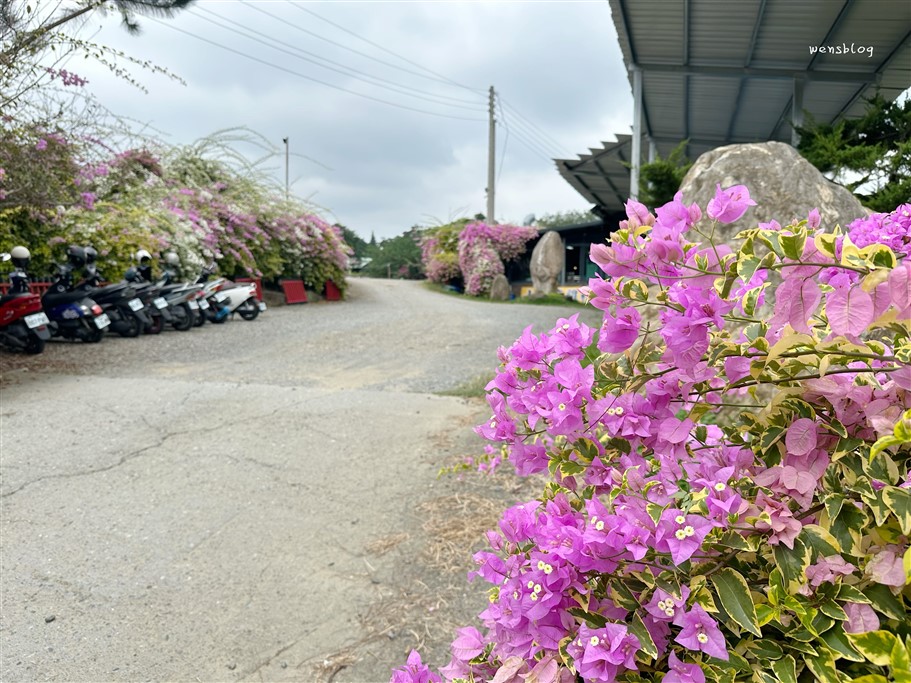 南投竹山。黃山秘境景觀餐廳，滿開的九重葛花瀑傾瀉而下非常的壯觀美麗 @雯雯的玩樂地圖