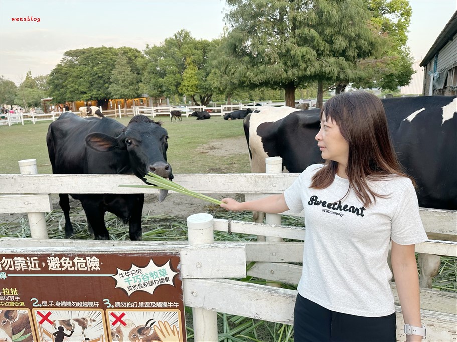 雲林崙背。千巧谷牛樂園牧場,免門票景點,與牛牛同樂,親子同遊的好去處 @雯雯的玩樂地圖 雲林崙背。千巧谷牛樂園牧場,免門票景點,與牛牛同樂,親子同遊的好去處 @雯雯的玩樂地圖