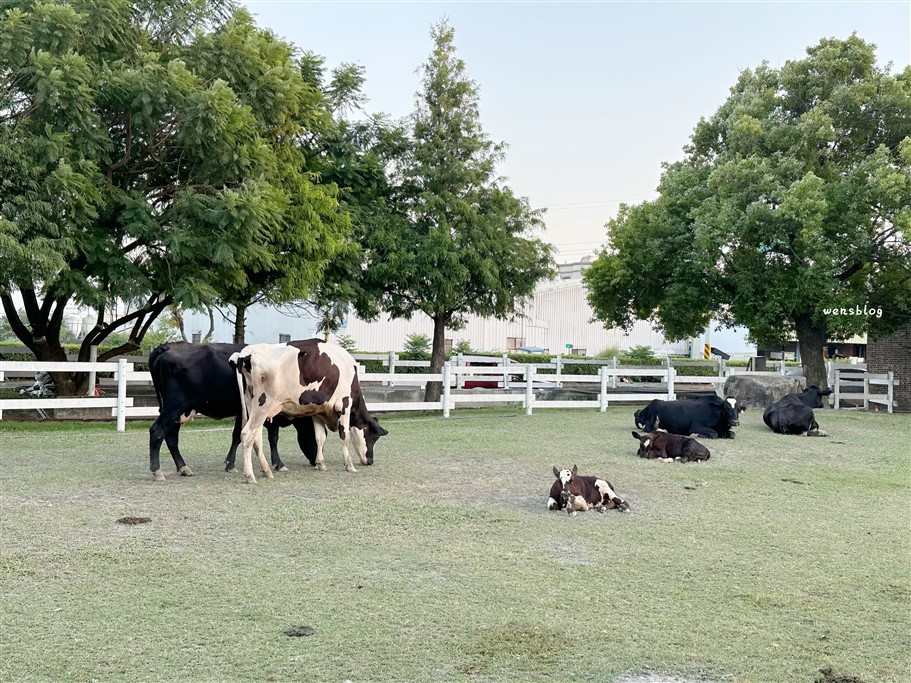 雲林崙背。千巧谷牛樂園牧場,免門票景點,與牛牛同樂,親子同遊的好去處 @雯雯的玩樂地圖 雲林崙背。千巧谷牛樂園牧場,免門票景點,與牛牛同樂,親子同遊的好去處 @雯雯的玩樂地圖