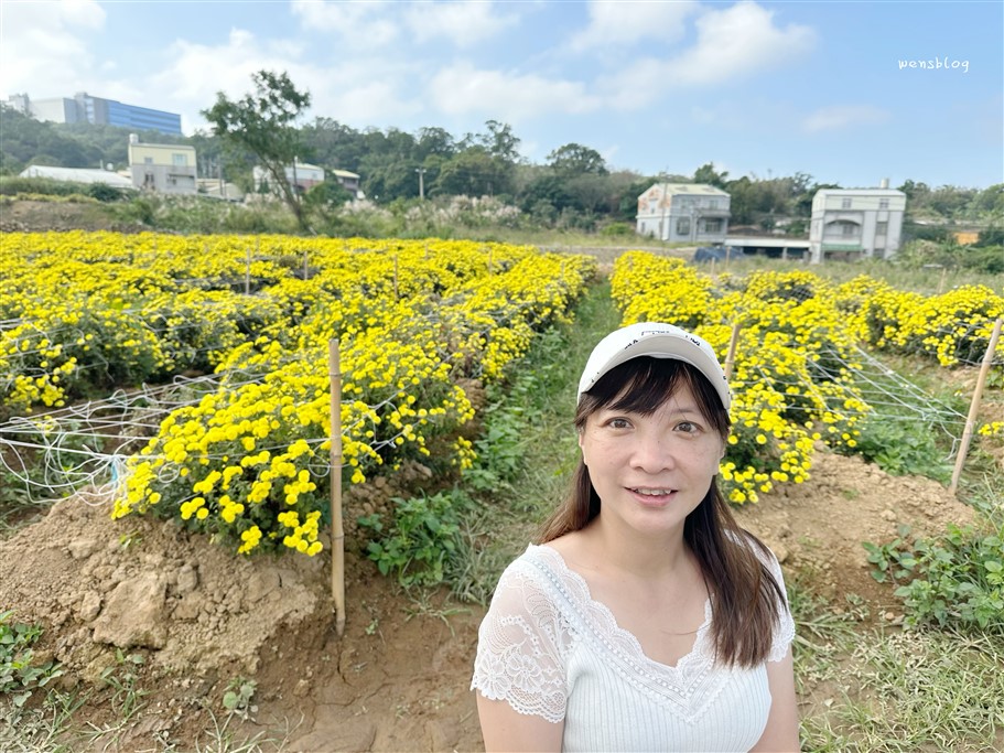 苗栗銅鑼。2025苗栗銅鑼杭菊，秋末限定的雪白花海盛宴開跑啦~ @雯雯的玩樂地圖