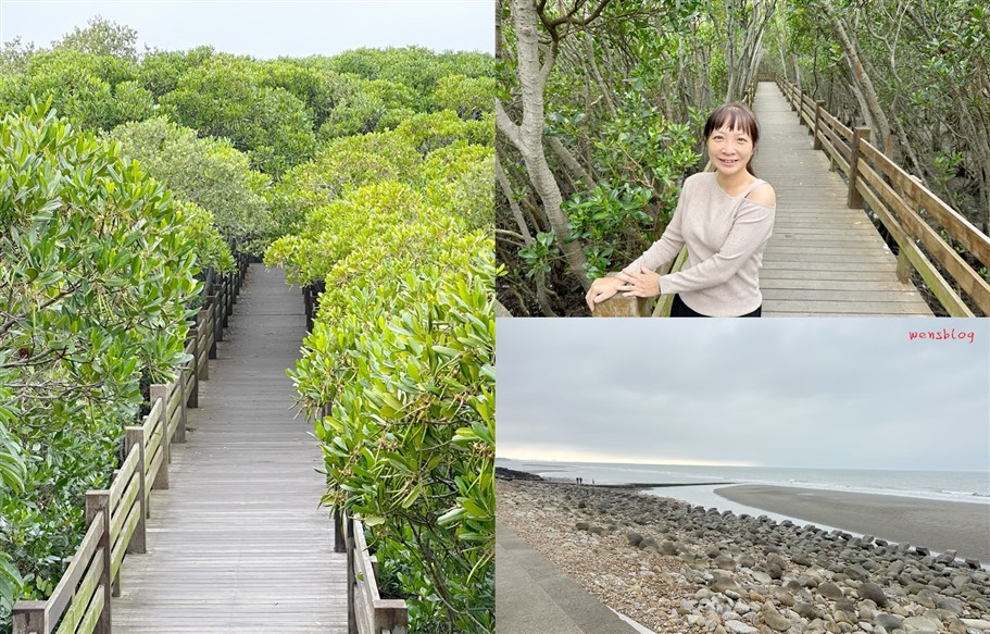 新竹新豐。新豐紅樹林生態保護區，被滿滿的水筆仔給包圍，彷彿與世隔絕的綠色森林 @雯雯的玩樂地圖