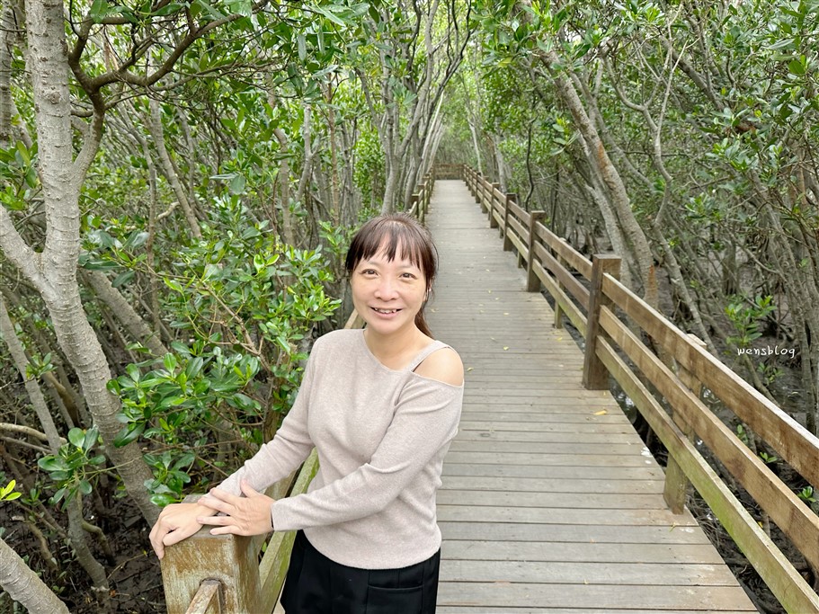 新竹新豐。新豐紅樹林生態保護區,被滿滿的水筆仔給包圍,彷彿與世隔絕的綠色森林 @雯雯的玩樂地圖 新竹新豐。新豐紅樹林生態保護區,被滿滿的水筆仔給包圍,彷彿與世隔絕的綠色森林 @雯雯的玩樂地圖