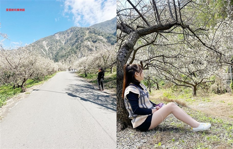 南投信義。土場梅園,台21線98.5k處免費賞梅去處 @雯雯的玩樂地圖 南投信義。土場梅園,台21線98.5k處免費賞梅去處 @雯雯的玩樂地圖