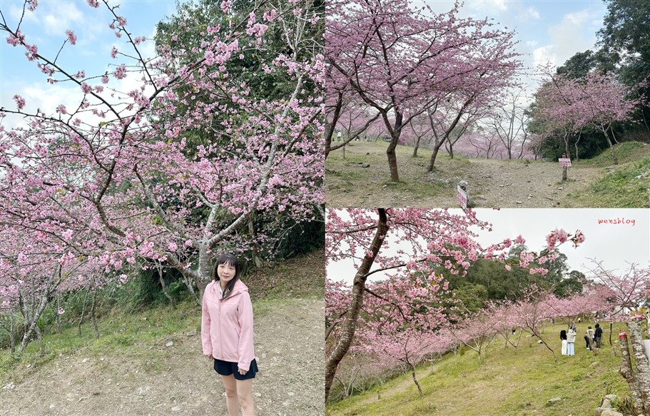 高雄桃源。寶山二集團櫻花公園，隱身於山林間，高雄最具代表性的賞櫻去處 @雯雯的玩樂地圖