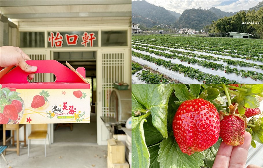 苗栗大湖。怡口軒草莓園，雪壩國家公園管理處對面，價位親民，打卡分享還能一斤折20元 @雯雯的玩樂地圖