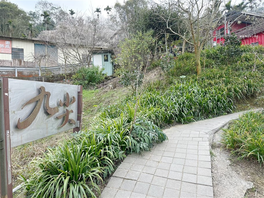 南投國姓。九尖茶廠，踏雪尋梅去~盛開之時白雪皚皚宛如銀白世界 @雯雯的玩樂地圖