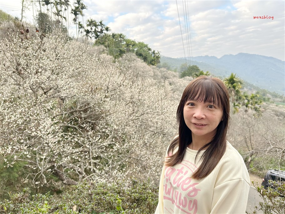 南投國姓。九尖茶廠，踏雪尋梅去~盛開之時白雪皚皚宛如銀白世界 @雯雯的玩樂地圖