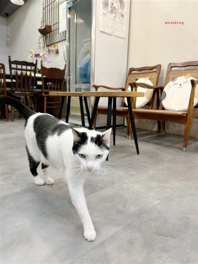 桃園中壢。 良以日,提供減糖甜點,吃起來完全沒有負擔感 @雯雯的玩樂地圖 桃園中壢。 良以日,提供減糖甜點,吃起來完全沒有負擔感 @雯雯的玩樂地圖