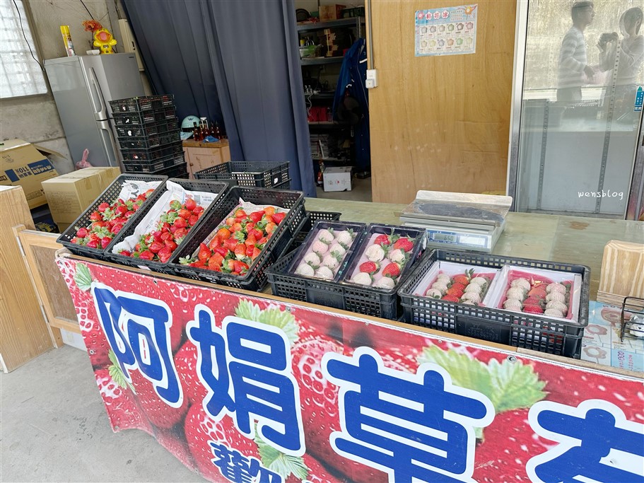苗栗獅潭。阿娟草莓園，品質棒棒的，最棒的是沒有太多遊客，不用人擠人 @雯雯的玩樂地圖