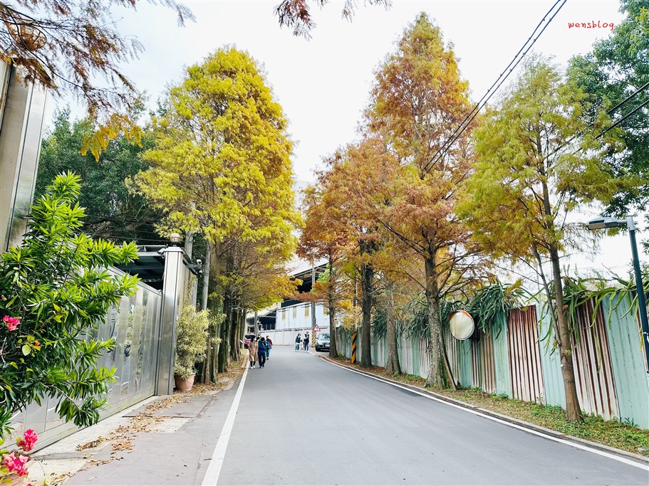 桃園大溪。落羽松大道，浪漫台三線上綿延1公里長，美到直接更改路名 @雯雯的玩樂地圖