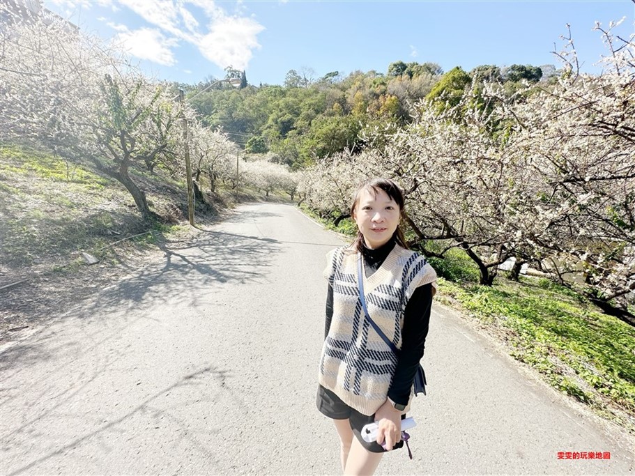 南投信義。土場梅園,台21線98.5k處免費賞梅去處 @雯雯的玩樂地圖 南投信義。土場梅園,台21線98.5k處免費賞梅去處 @雯雯的玩樂地圖