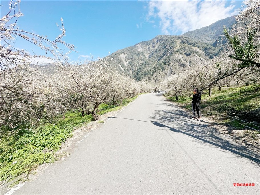 桃園美食。搭膳Dashan個人鍋物,時尚夜店風格,提供高檔食材、活體海鮮(結束營業) @雯雯的玩樂地圖