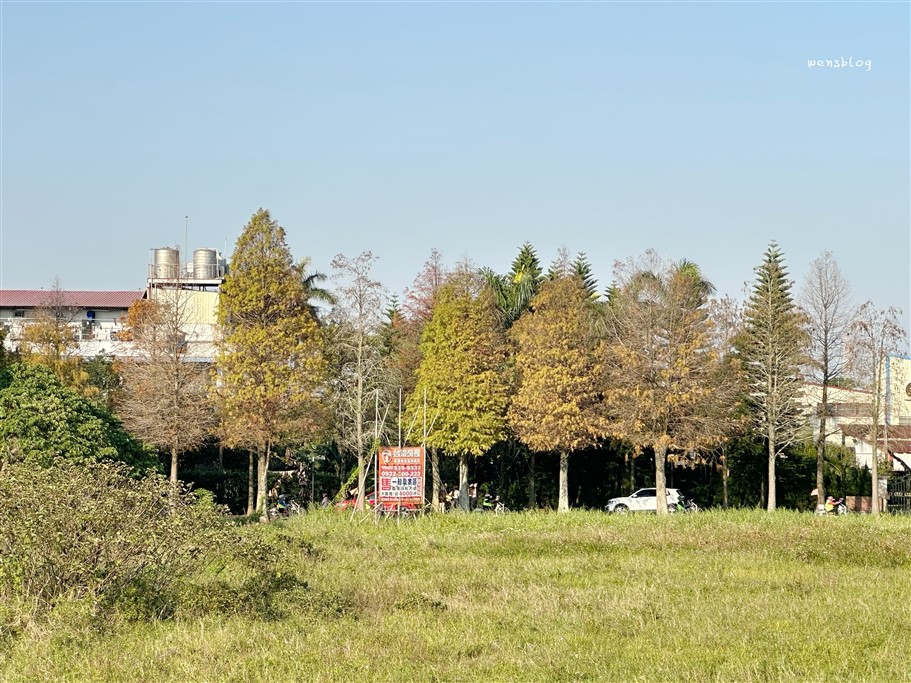 桃園大溪。落羽松大道，浪漫台三線上綿延1公里長，美到直接更改路名 @雯雯的玩樂地圖