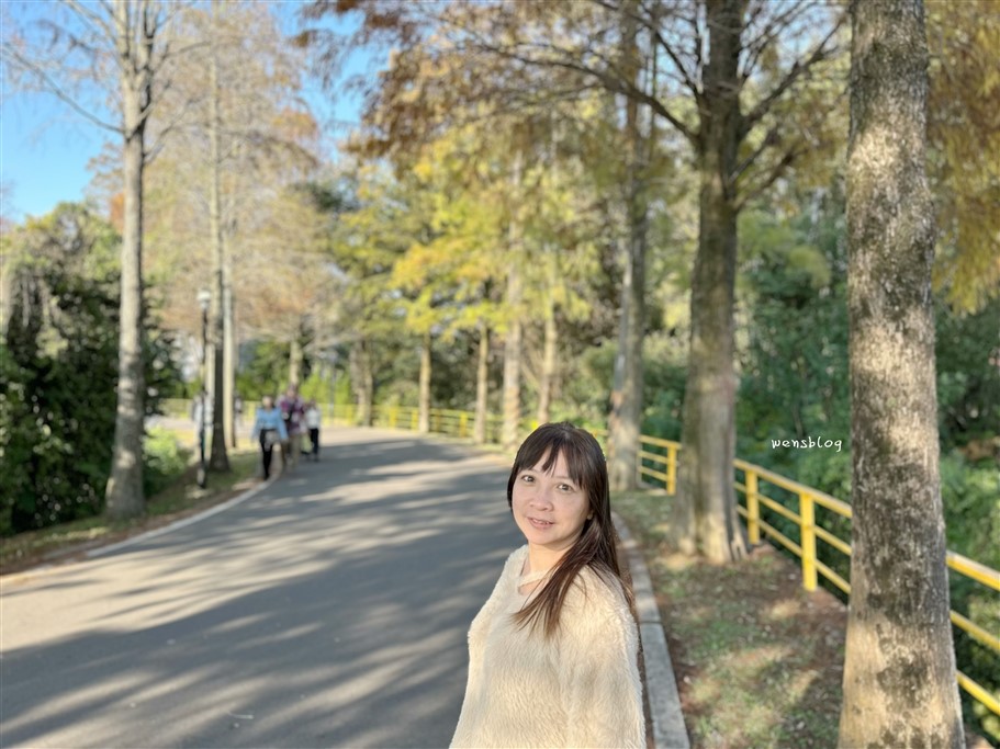 桃園大溪。落羽松大道，浪漫台三線上綿延1公里長，美到直接更改路名 @雯雯的玩樂地圖