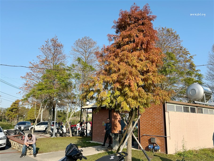 桃園大溪。落羽松大道，浪漫台三線上綿延1公里長，美到直接更改路名 @雯雯的玩樂地圖