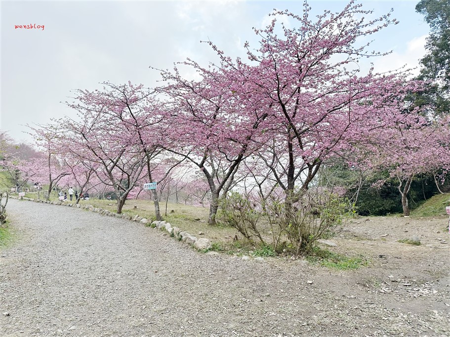 高雄桃源。寶山二集團櫻花公園，隱身於山林間，高雄最具代表性的賞櫻去處 @雯雯的玩樂地圖