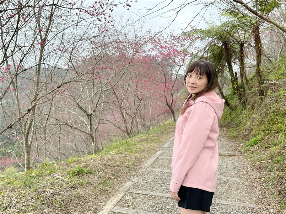 高雄桃源。寶山二集團櫻花公園,隱身於山林間,高雄最具代表性的賞櫻去處 @雯雯的玩樂地圖 高雄桃源。寶山二集團櫻花公園,隱身於山林間,高雄最具代表性的賞櫻去處 @雯雯的玩樂地圖