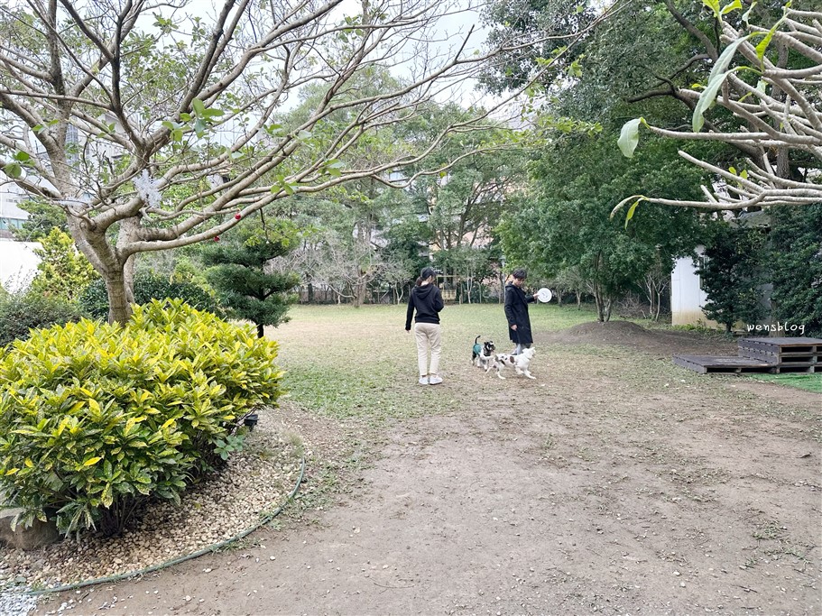 桃園龜山。Nose.Y Café 諾奇意咖啡,隱身在體育大學校園之中,毛小孩的天堂 @雯雯的玩樂地圖 桃園龜山。Nose.Y Café 諾奇意咖啡,隱身在體育大學校園之中,毛小孩的天堂 @雯雯的玩樂地圖