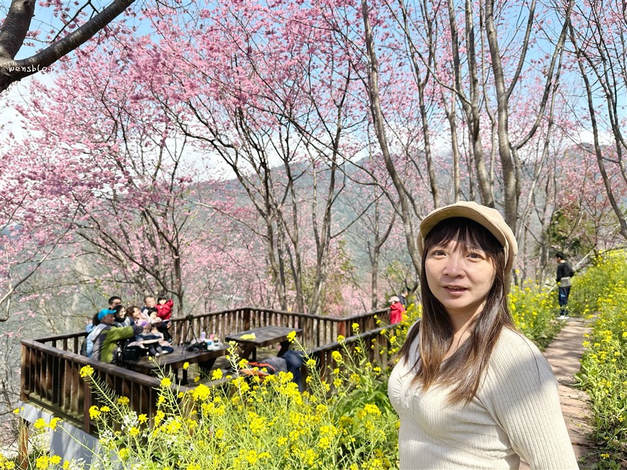 新竹尖石。財伯觀光果園,尖石部落賞櫻秘境,被粉紅海包圍的果園，好美好夢幻 @雯雯的玩樂地圖