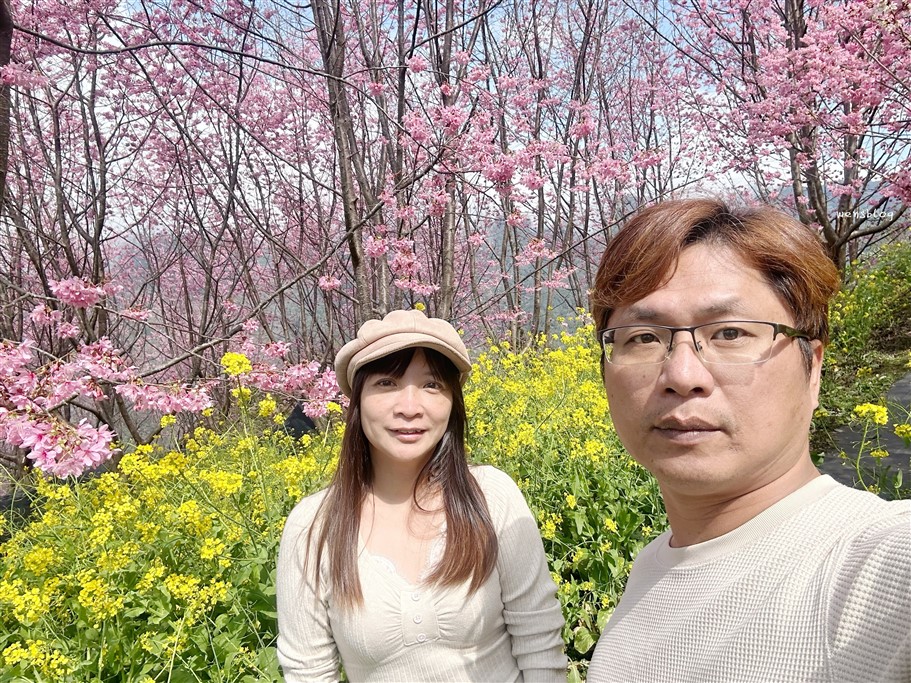 新竹尖石。財伯觀光果園,尖石部落賞櫻秘境,被粉紅海包圍的果園，好美好夢幻 @雯雯的玩樂地圖