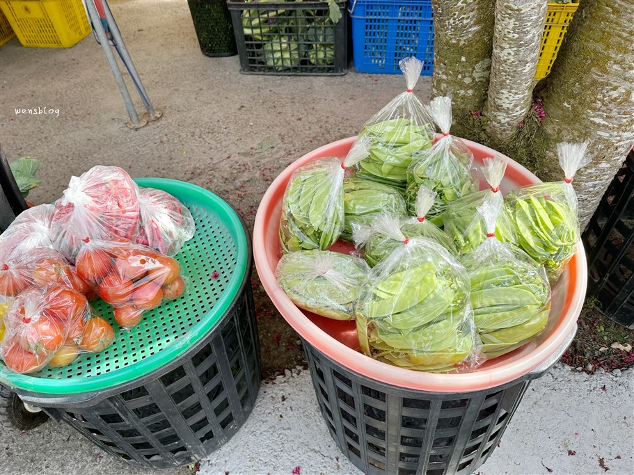 南投信義。草坪頭櫻花季，翠綠層層的茶園伴隨著滿山的粉紅櫻，4千株櫻花接力綻放中 @雯雯的玩樂地圖