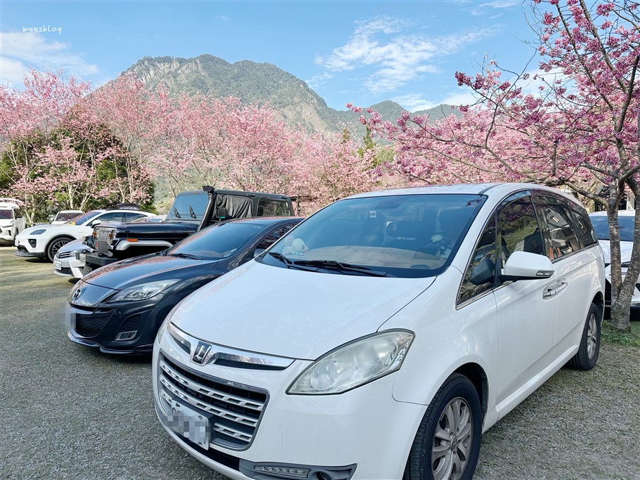 新竹尖石。八五山甜柿森林，藏身在露營區中的粉紅世界 @雯雯的玩樂地圖