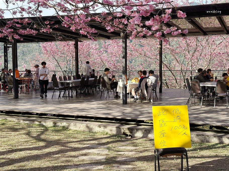 新竹尖石。八五山甜柿森林，藏身在露營區中的粉紅世界 @雯雯的玩樂地圖