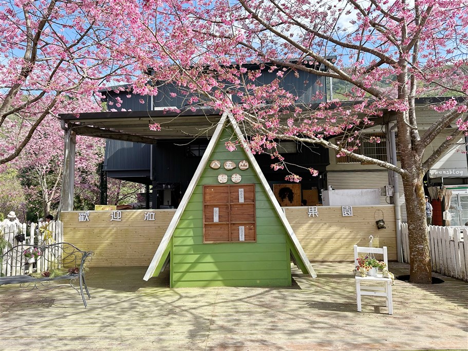 新竹尖石。八五山甜柿森林，藏身在露營區中的粉紅世界 @雯雯的玩樂地圖