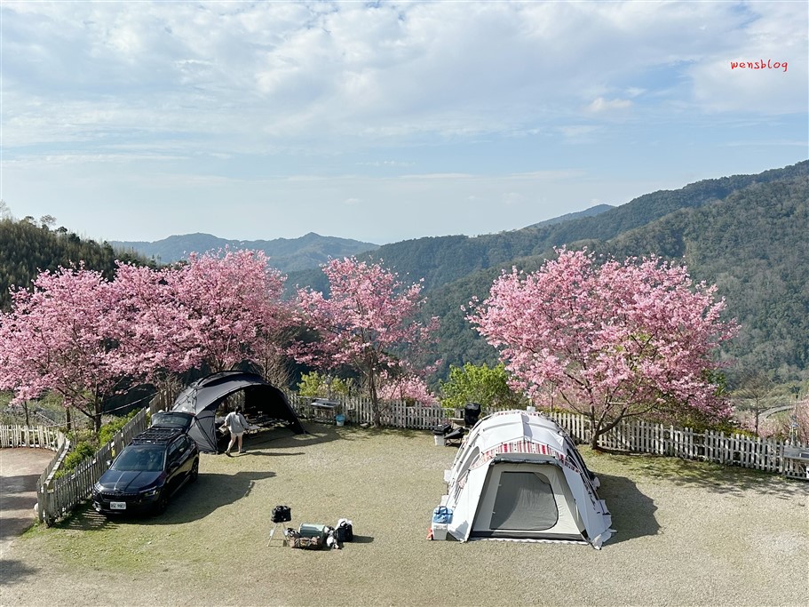 新竹尖石。八五山甜柿森林，藏身在露營區中的粉紅世界 @雯雯的玩樂地圖