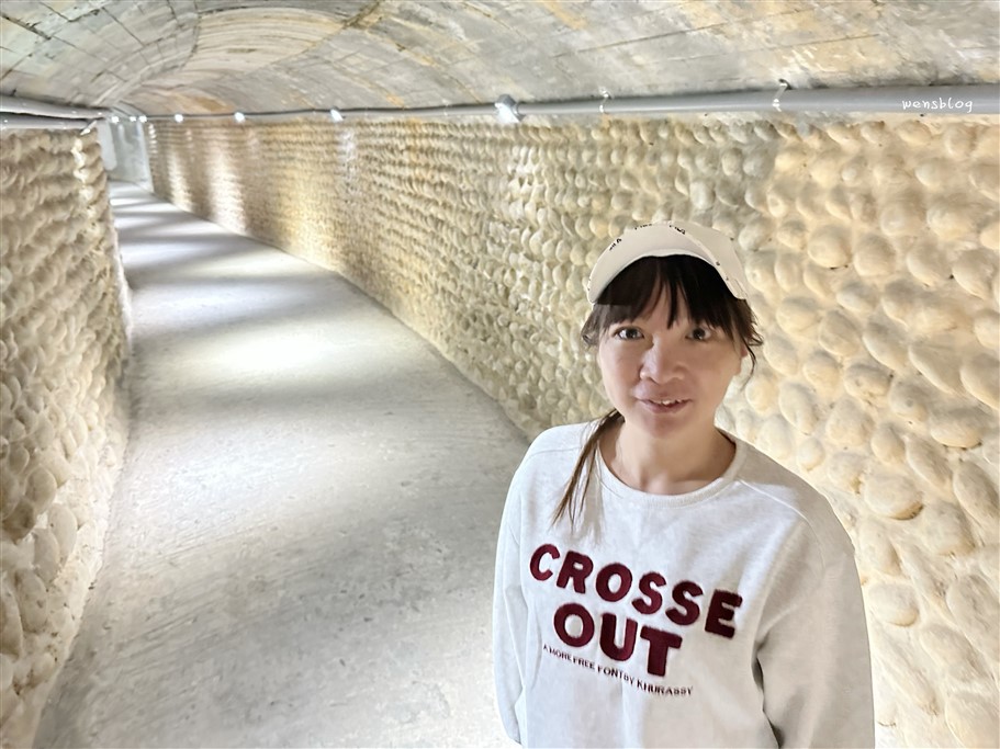 台中清水。鰲峰山運動公園、清水鬼洞，台中最好玩、放電的公園 @雯雯的玩樂地圖