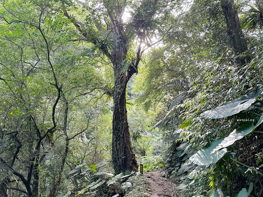 新竹尖石。馬胎古道，有如走在原始林當中，聽著蟲鳴鳥叫以及流水聲 @雯雯的玩樂地圖