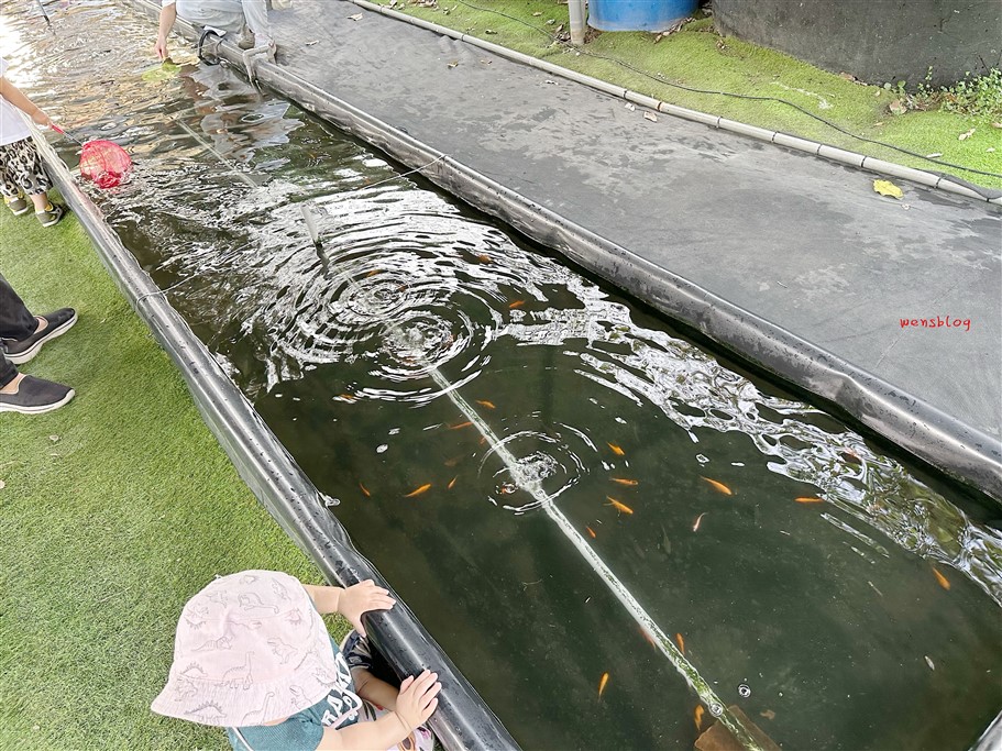 雲林斗六。鵝媽媽鵝童樂園,超萌親子景點,以鵝為主題的遊樂園 @雯雯的玩樂地圖 雲林斗六。鵝媽媽鵝童樂園,超萌親子景點,以鵝為主題的遊樂園 @雯雯的玩樂地圖