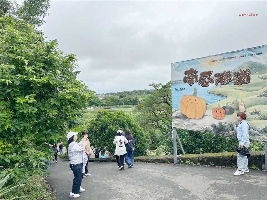 新北淡水。淡水南瓜隧道&屯山阿嬤的農作,宛如小型南瓜博物館,各式各樣從可愛小巧到巨大等你拍照打卡 @雯雯的玩樂地圖 新北淡水。淡水南瓜隧道&屯山阿嬤的農作,宛如小型南瓜博物館,各式各樣從可愛小巧到巨大等你拍照打卡 @雯雯的玩樂地圖