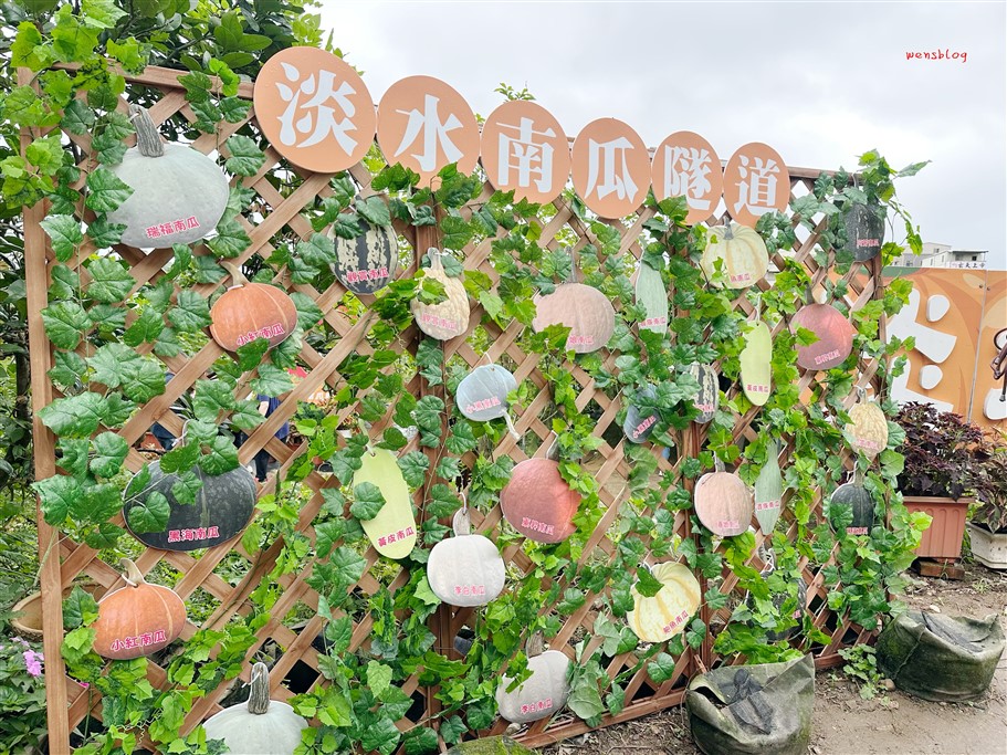 新北淡水。淡水南瓜隧道&屯山阿嬤的農作,宛如小型南瓜博物館,各式各樣從可愛小巧到巨大等你拍照打卡 @雯雯的玩樂地圖 新北淡水。淡水南瓜隧道&屯山阿嬤的農作,宛如小型南瓜博物館,各式各樣從可愛小巧到巨大等你拍照打卡 @雯雯的玩樂地圖