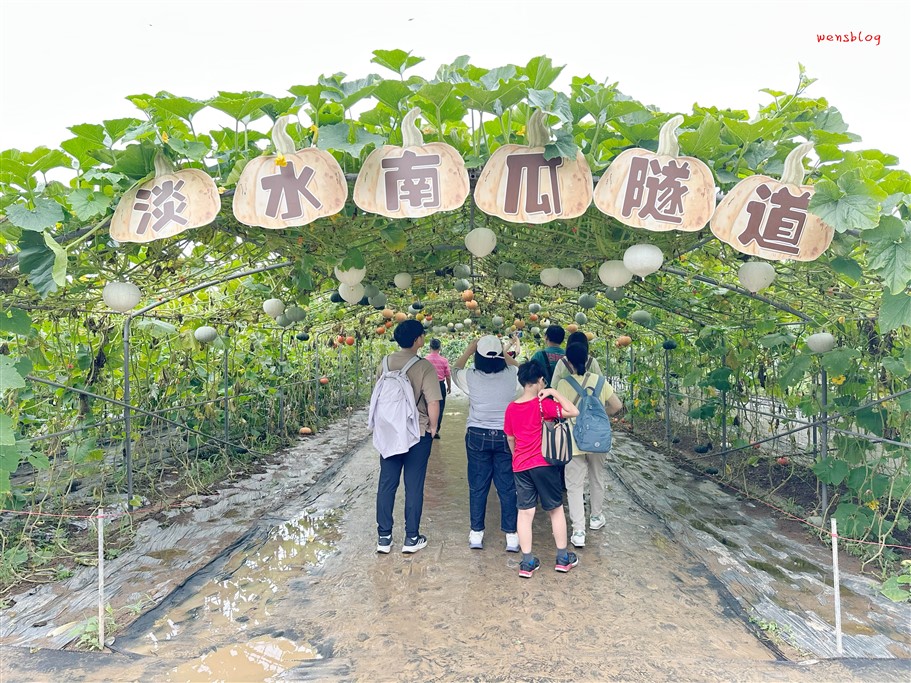 新北淡水。淡水南瓜隧道&屯山阿嬤的農作,宛如小型南瓜博物館,各式各樣從可愛小巧到巨大等你拍照打卡 @雯雯的玩樂地圖 新北淡水。淡水南瓜隧道&屯山阿嬤的農作,宛如小型南瓜博物館,各式各樣從可愛小巧到巨大等你拍照打卡 @雯雯的玩樂地圖