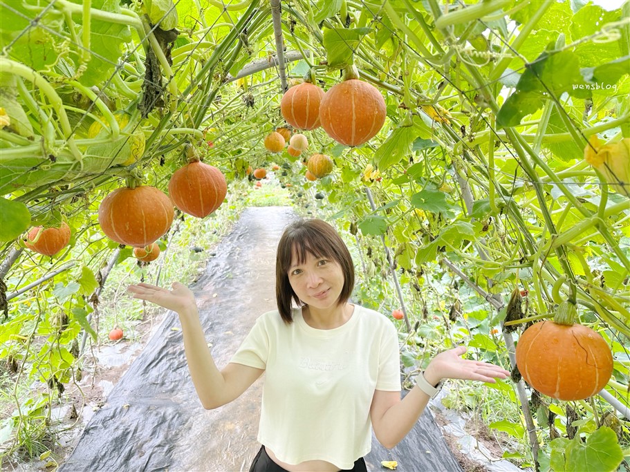 新北淡水。淡水南瓜隧道&屯山阿嬤的農作,宛如小型南瓜博物館,各式各樣從可愛小巧到巨大等你拍照打卡 @雯雯的玩樂地圖 新北淡水。淡水南瓜隧道&屯山阿嬤的農作,宛如小型南瓜博物館,各式各樣從可愛小巧到巨大等你拍照打卡 @雯雯的玩樂地圖