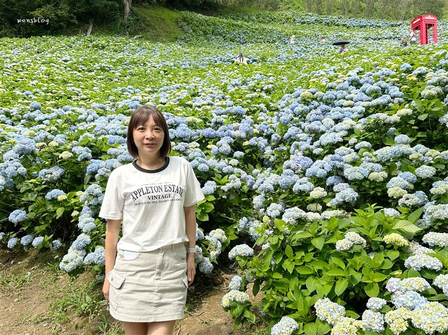 台中新社。沐心泉休閒農場，初夏限定~滿山滿谷的繡球花海，黃澄澄的金針花，直接拍好拍滿 @雯雯的玩樂地圖