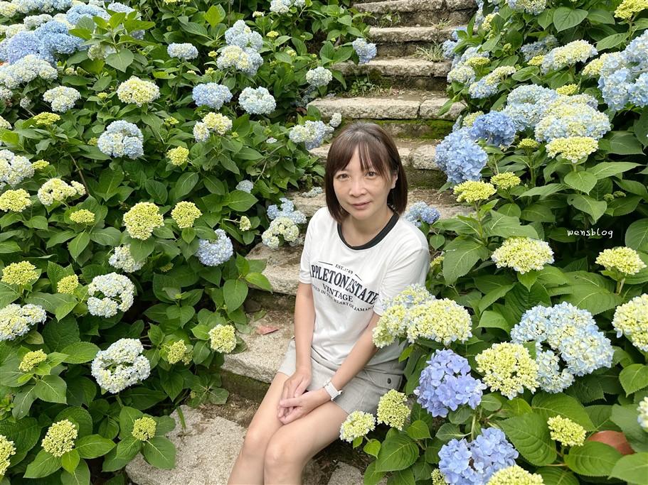 台中新社。沐心泉休閒農場，初夏限定~滿山滿谷的繡球花海，黃澄澄的金針花，直接拍好拍滿 @雯雯的玩樂地圖
