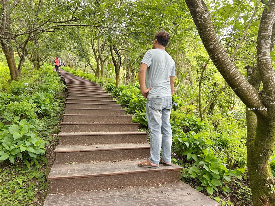 台中新社。沐心泉休閒農場，初夏限定~滿山滿谷的繡球花海，黃澄澄的金針花，直接拍好拍滿 @雯雯的玩樂地圖