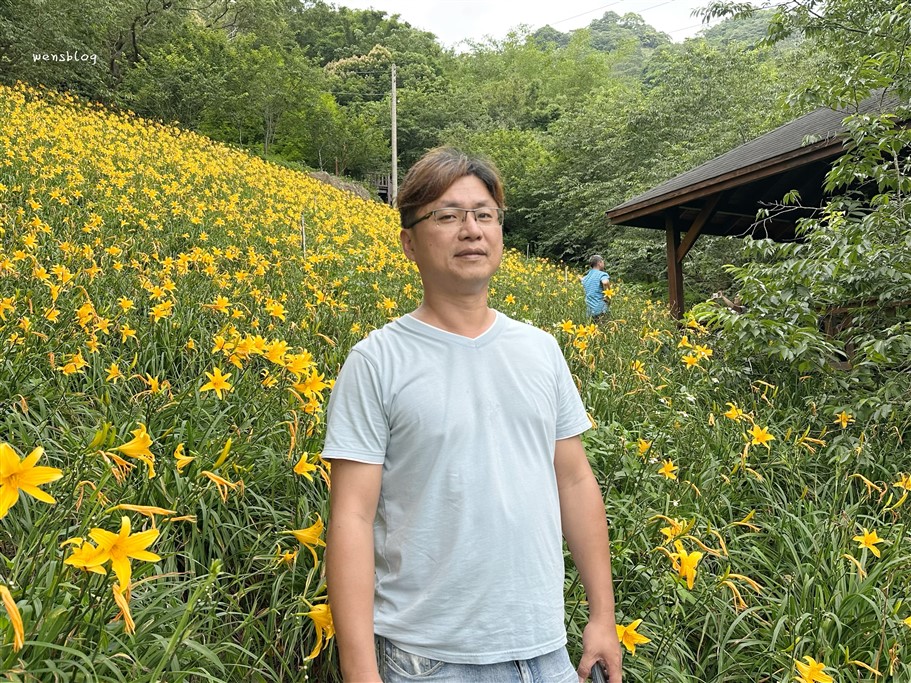 台中新社。沐心泉休閒農場，初夏限定~滿山滿谷的繡球花海，黃澄澄的金針花，直接拍好拍滿 @雯雯的玩樂地圖