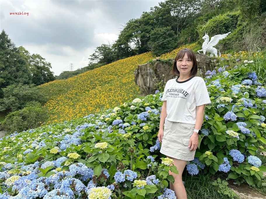 台中新社。沐心泉休閒農場，初夏限定~滿山滿谷的繡球花海，黃澄澄的金針花，直接拍好拍滿 @雯雯的玩樂地圖