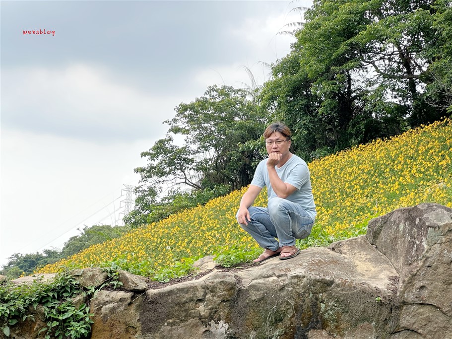 台中新社。沐心泉休閒農場，初夏限定~滿山滿谷的繡球花海，黃澄澄的金針花，直接拍好拍滿 @雯雯的玩樂地圖