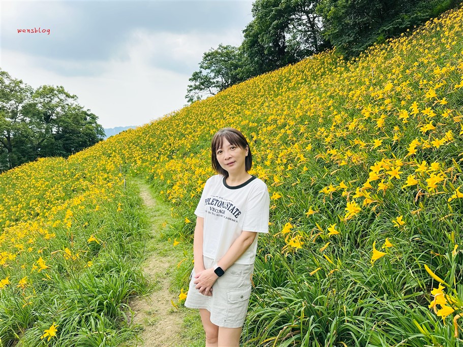 台中新社。沐心泉休閒農場，初夏限定~滿山滿谷的繡球花海，黃澄澄的金針花，直接拍好拍滿 @雯雯的玩樂地圖