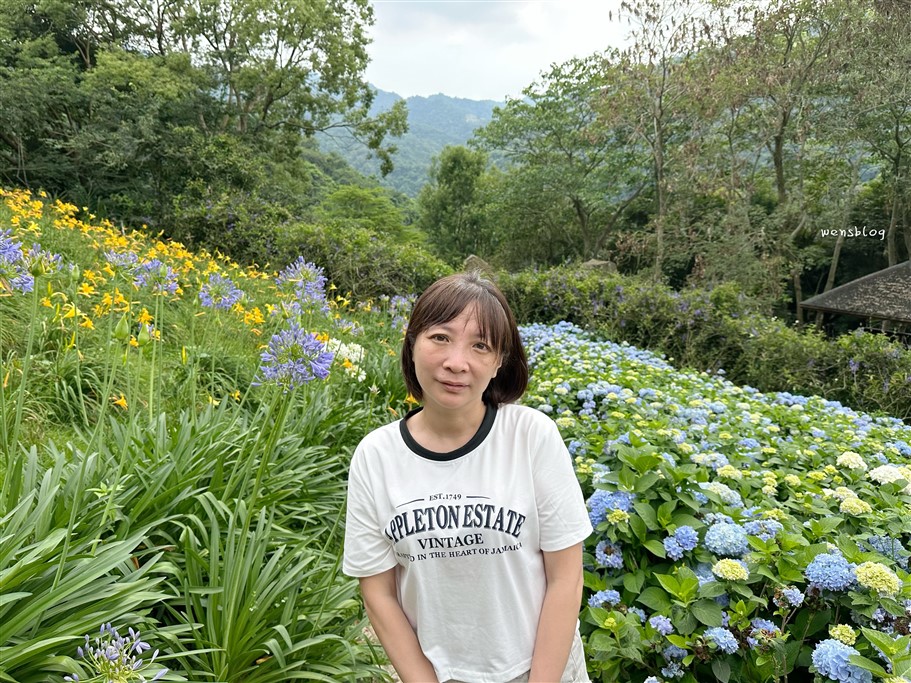 台中新社。沐心泉休閒農場，初夏限定~滿山滿谷的繡球花海，黃澄澄的金針花，直接拍好拍滿 @雯雯的玩樂地圖