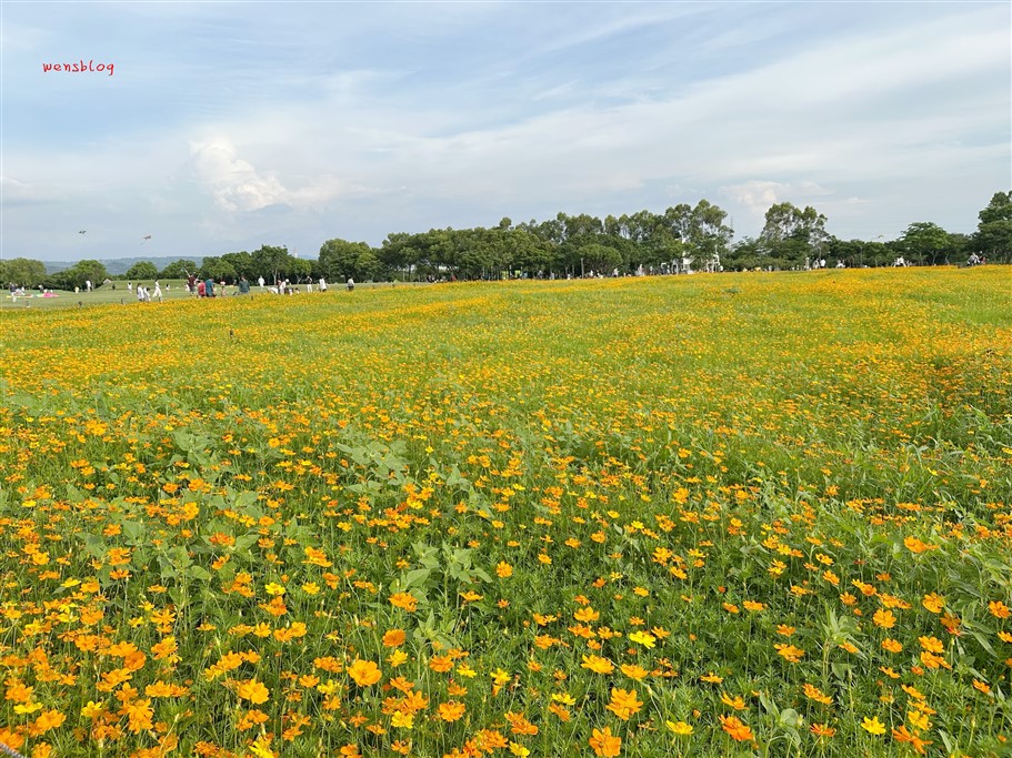 台中后里。后里環保公園，從原本的垃圾場搖身一變成為美麗的公園，賞花、放電一次滿足 @雯雯的玩樂地圖
