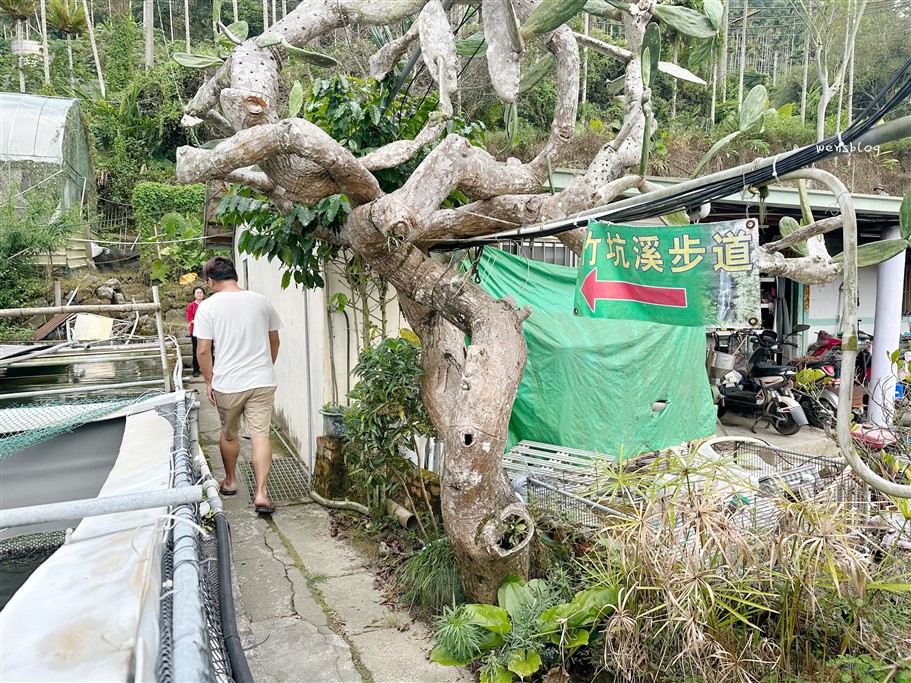 嘉義梅山。龍宮瀑布，穿越古道，邂逅大自然的奇景，近距離的感受氣勢磅礴的瀑布 @雯雯的玩樂地圖
