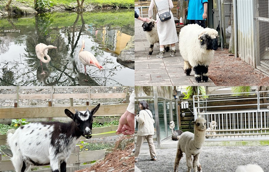 宜蘭冬山。水岸森林物語可愛動物園區,超過15種以上動物,近距離體驗互動餵食各種動物 @雯雯的玩樂地圖 宜蘭冬山。水岸森林物語可愛動物園區,超過15種以上動物,近距離體驗互動餵食各種動物 @雯雯的玩樂地圖